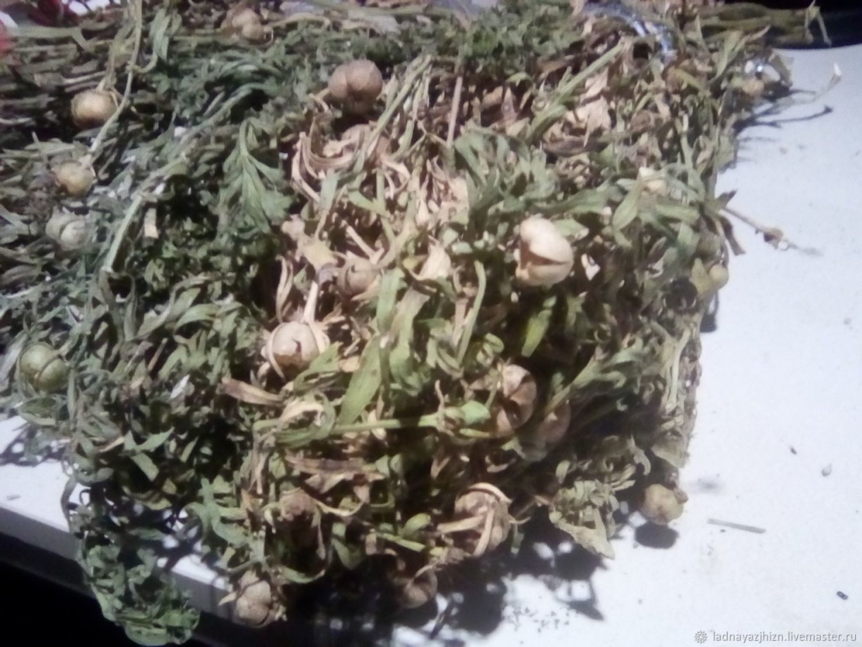 Хорст трава гармала обыкновенная 50 г