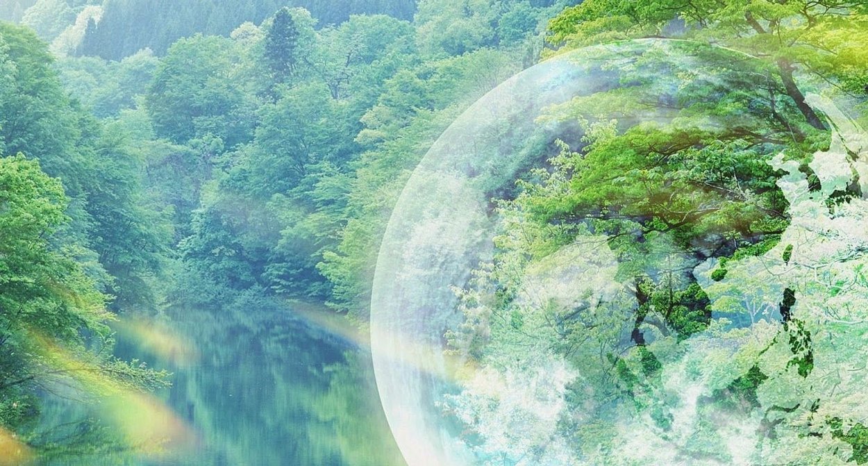 Экология фон