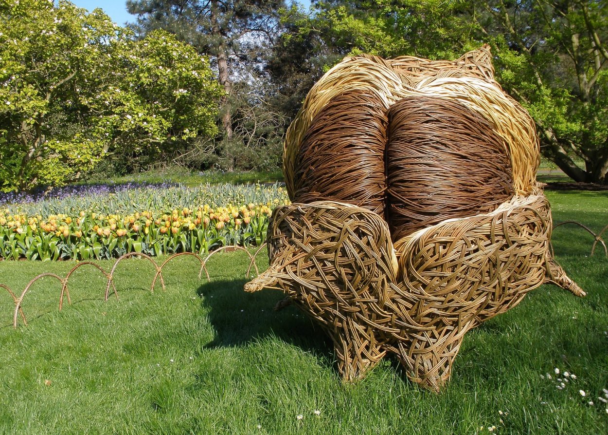 Ива плакучая беседка