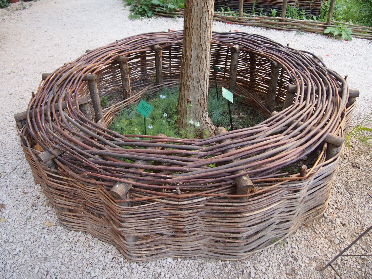 Рыба из лозы