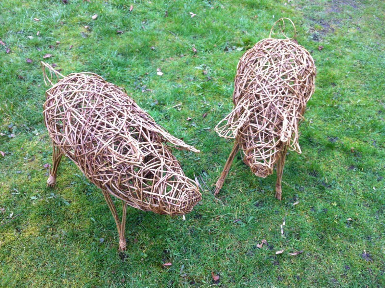 Плетеная Живая изгородь Ива