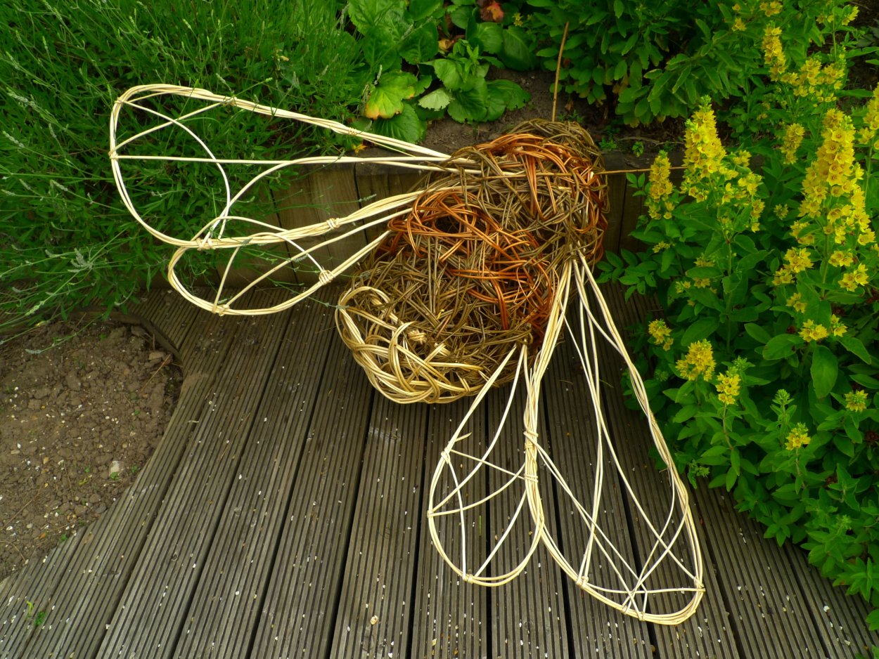 Живые ивовые изгороди