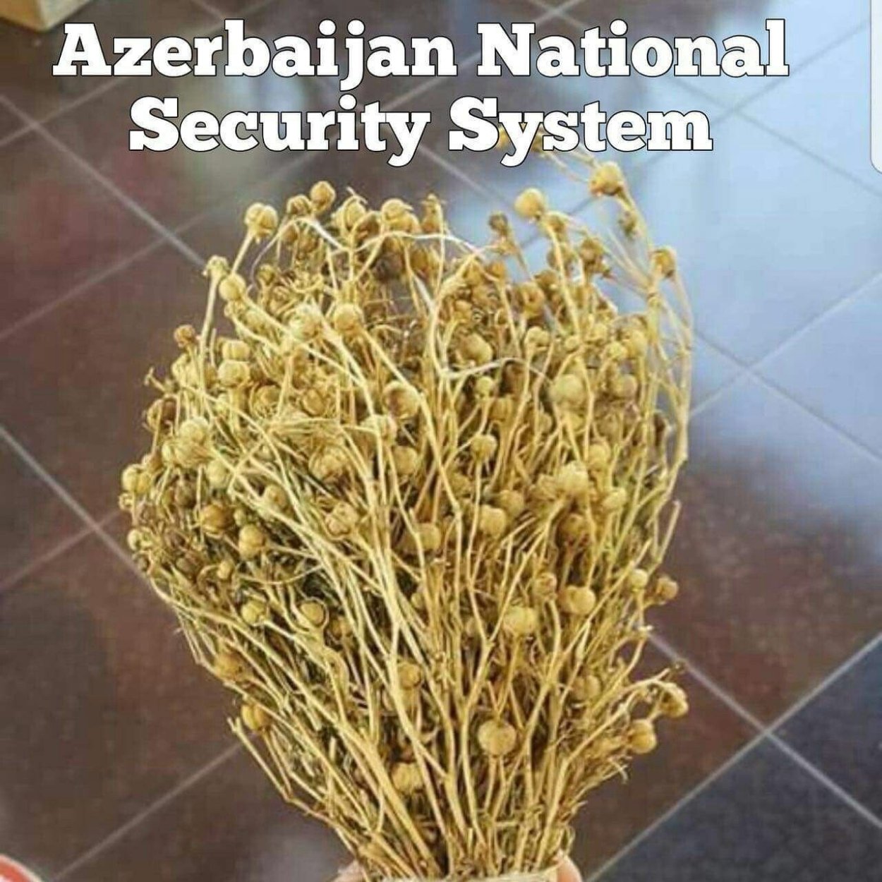 Гармала трава сушеная