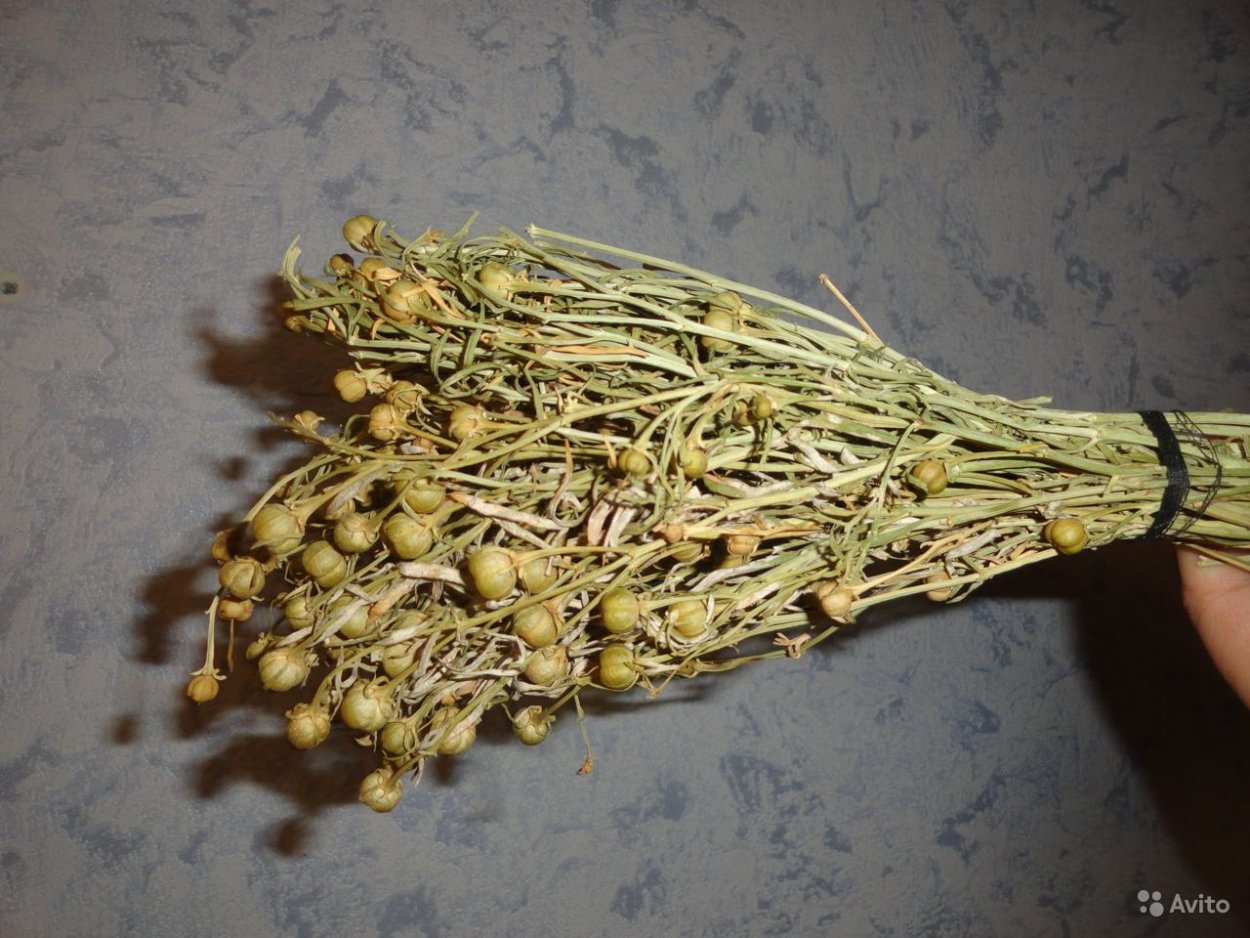 Тимол и тимьян