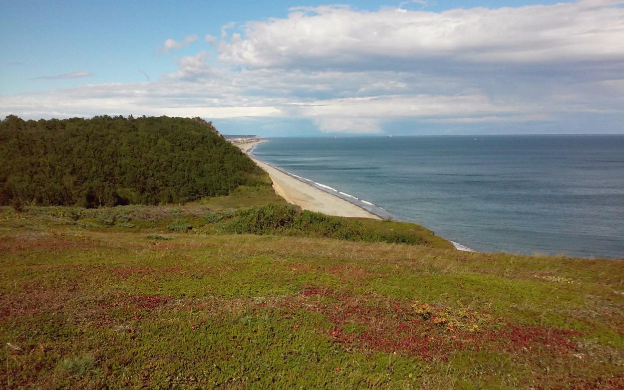 Финская природа грибы