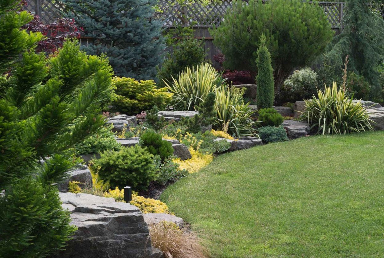 Ландшафтный дизайн панорама