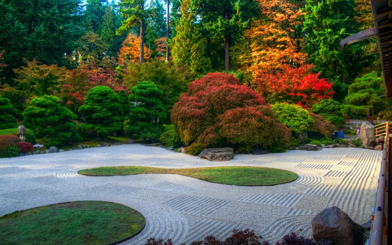 Парк дорожка