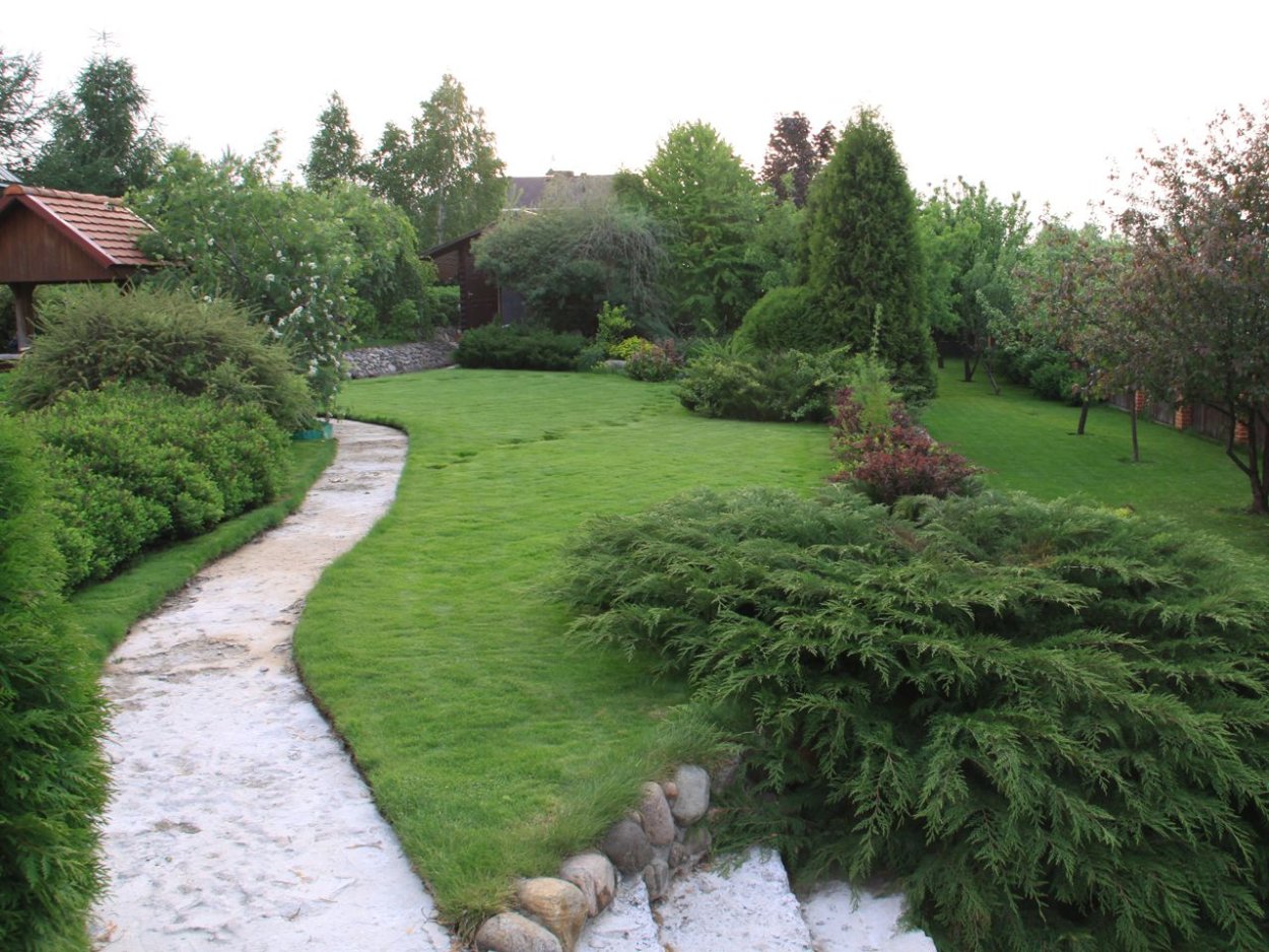 Евгения Никитенко ландшафтный дизайнер