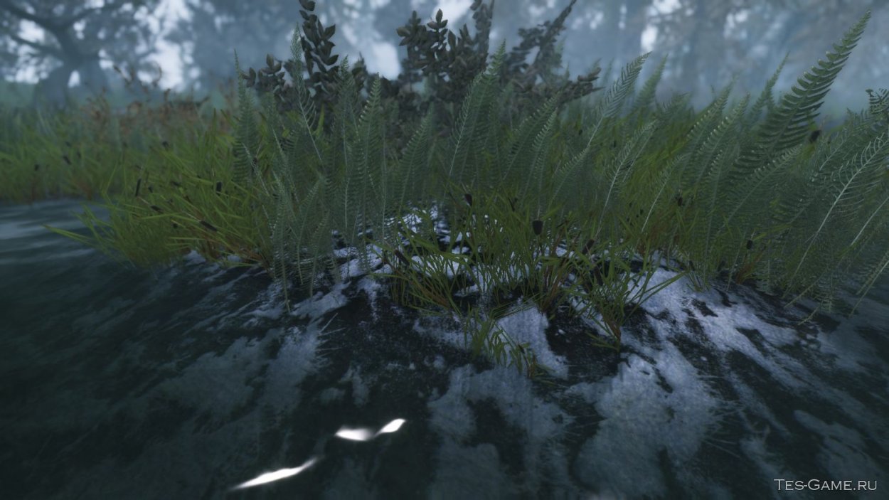 Травяной Покров болот