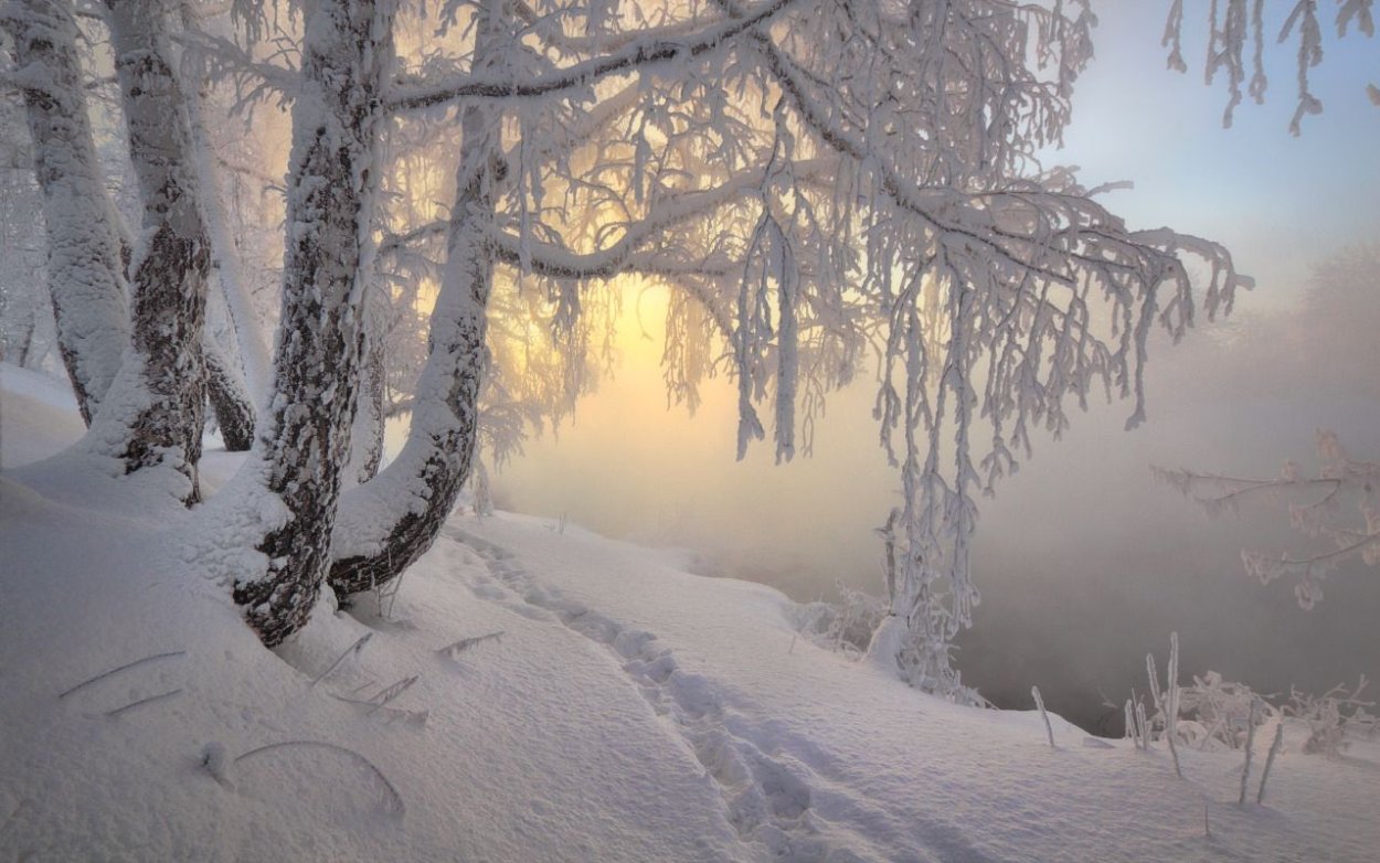 Красота зимы