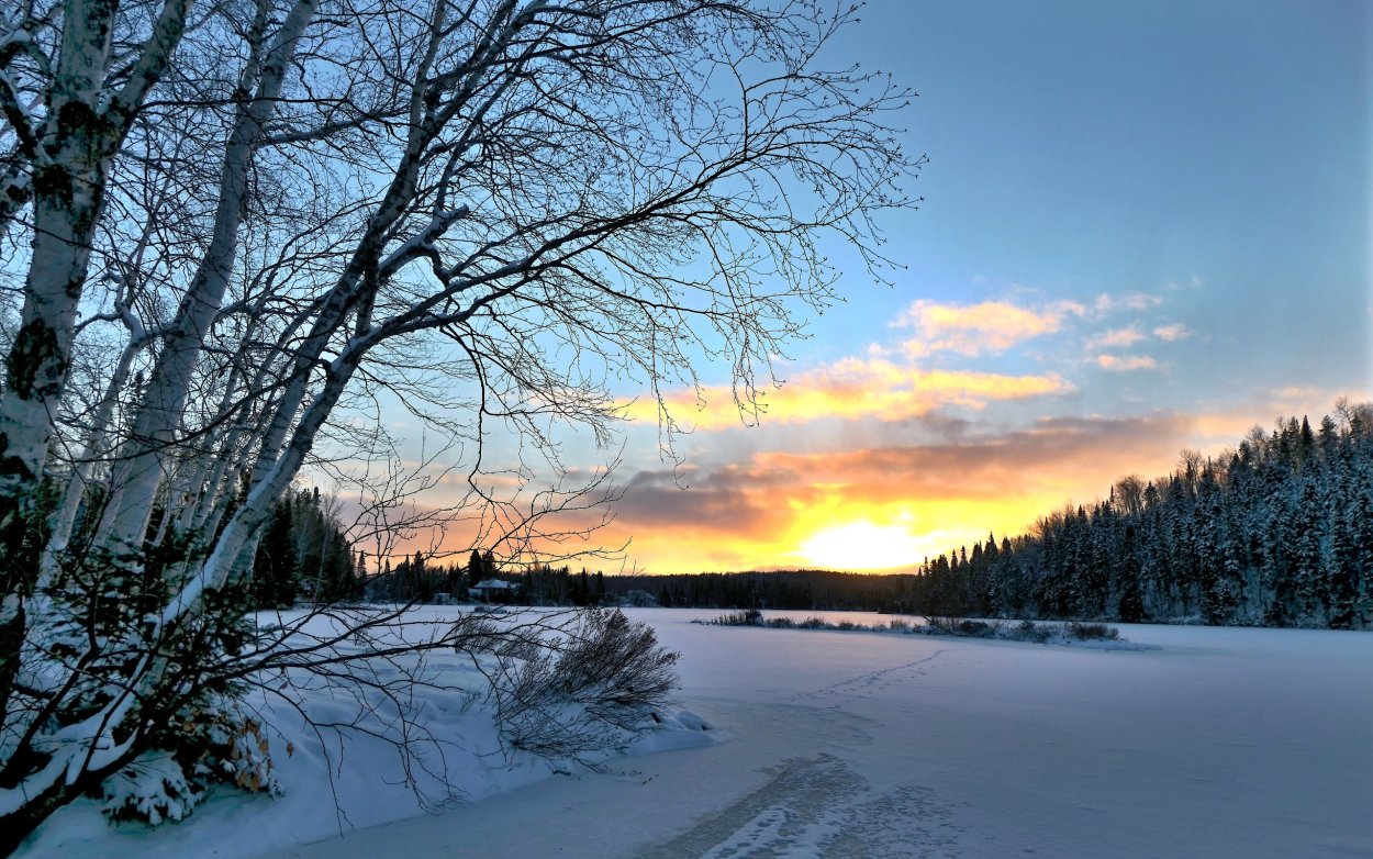 Зимний лес с рекой