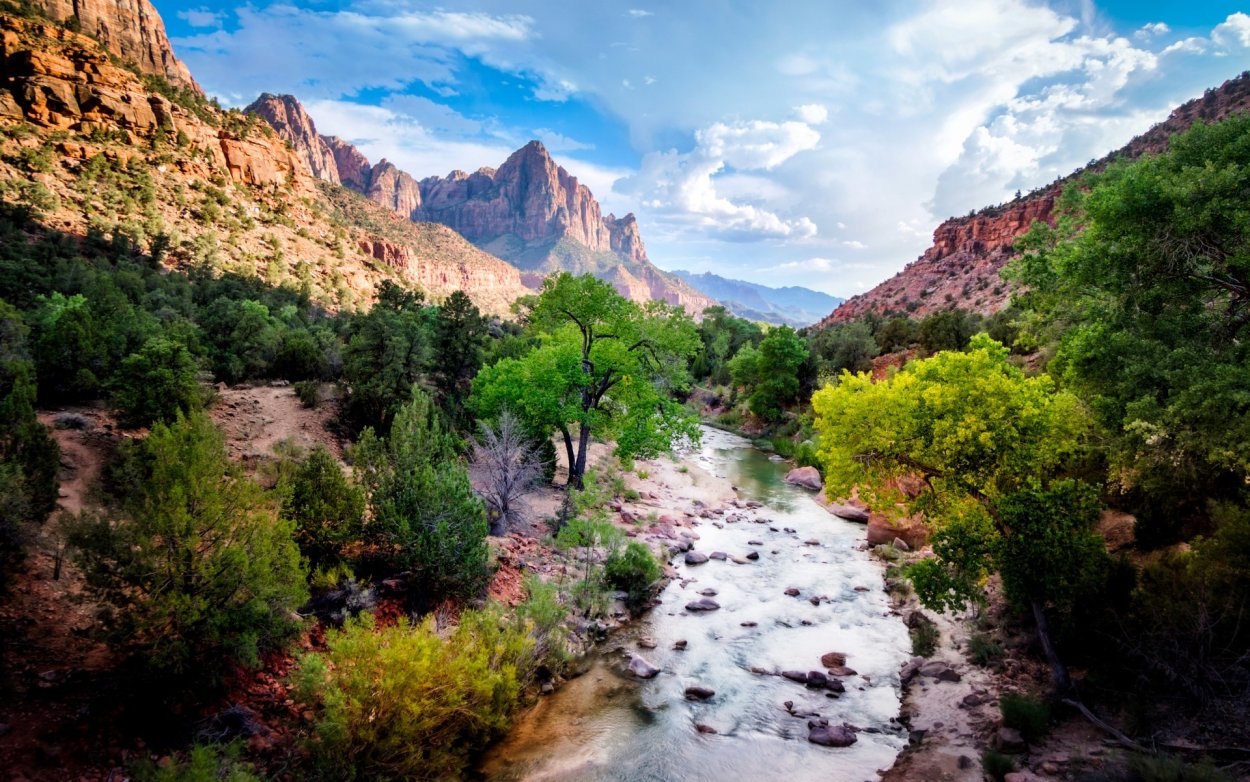 Каньон реки тары Черногория