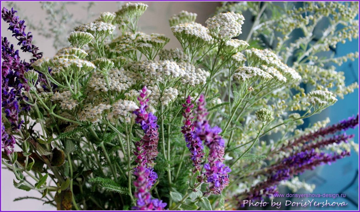 Букет из северных трав
