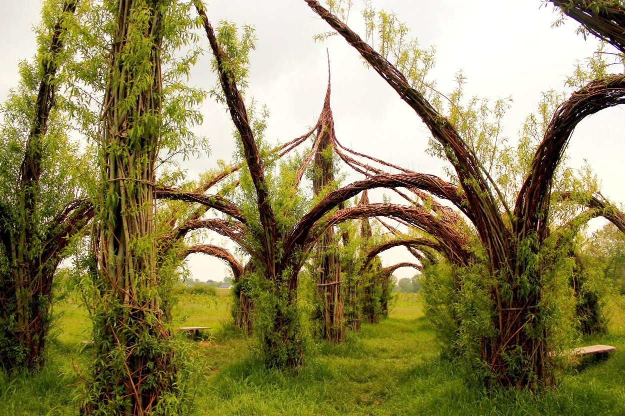 Арка из дерева