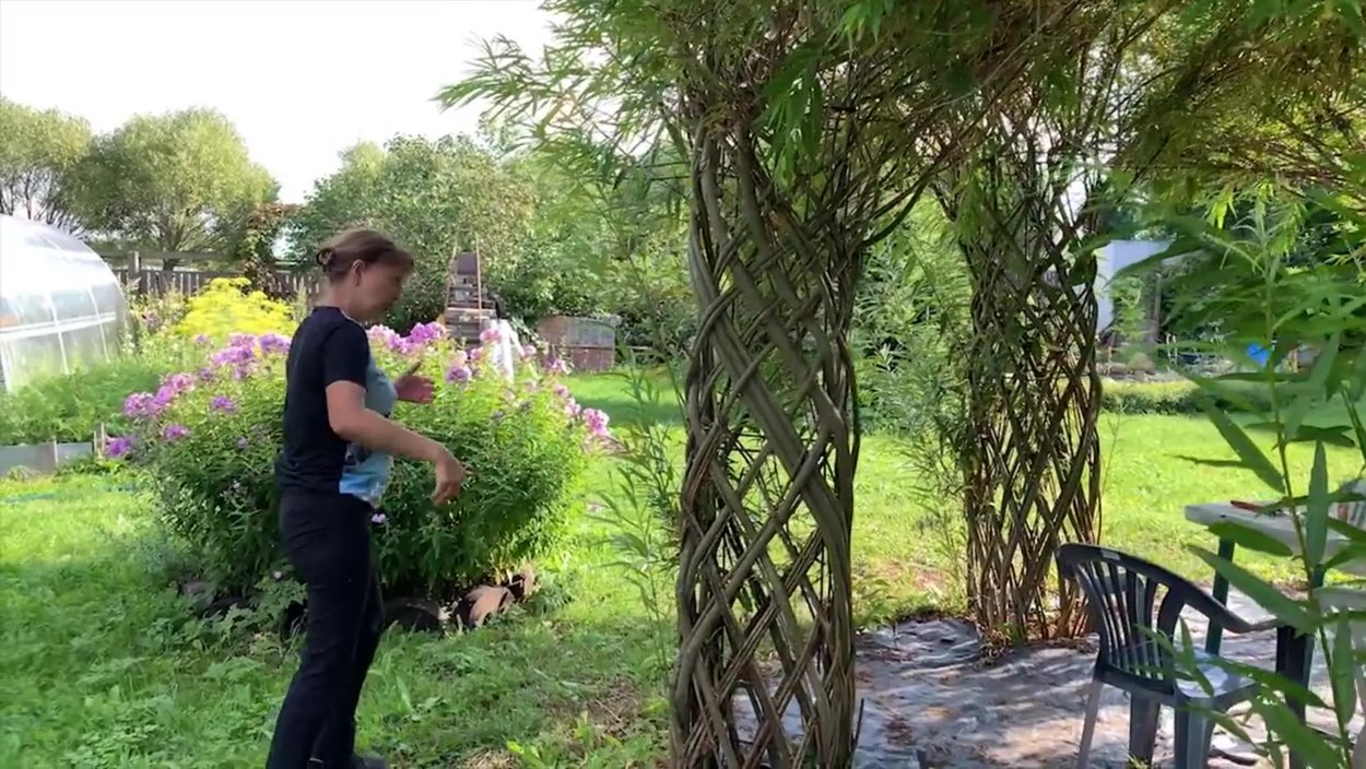 Русская Ива Живая беседка