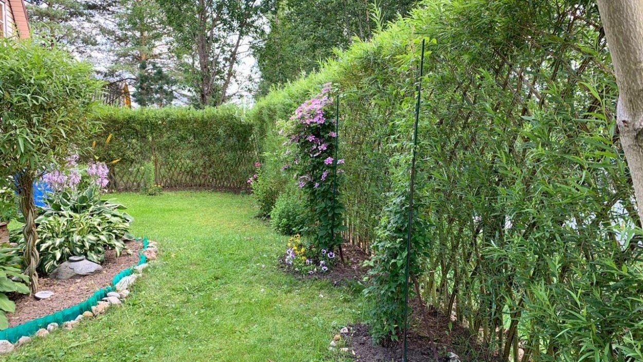 Арбоскульптура Ива