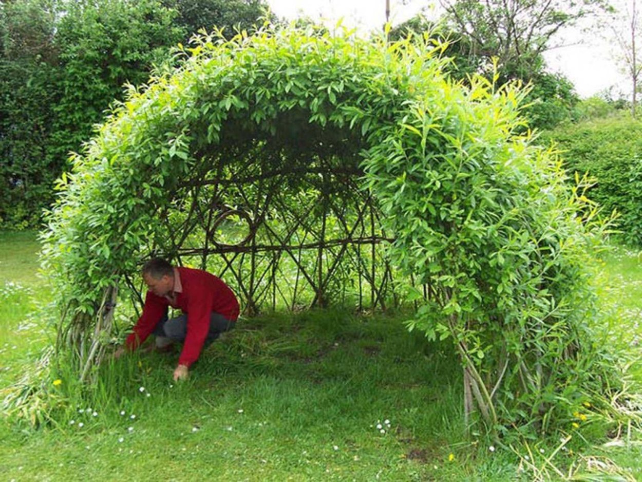 Плетенка из веток