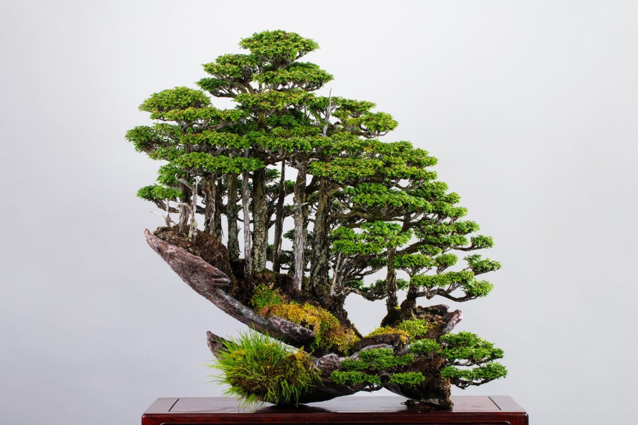 Minecraft Custom Tree