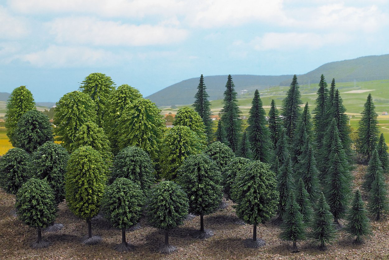 Хвойные и широколиственные деревья