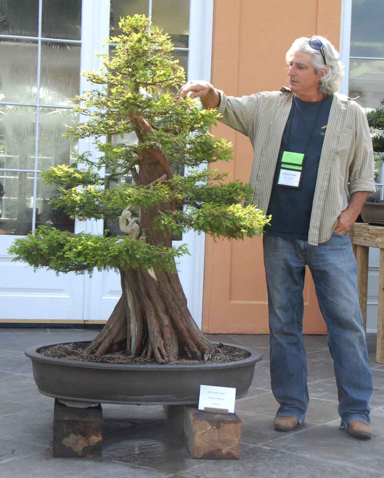 Hans Wigert trädplantering (planting Trees)