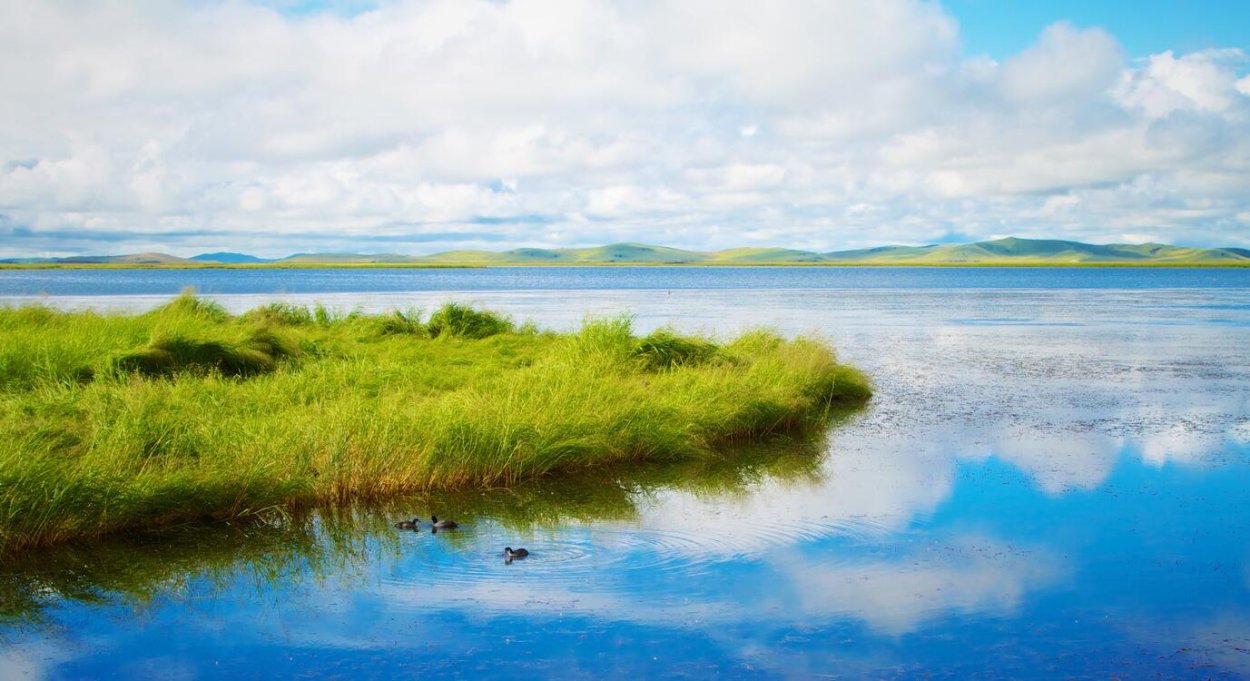 Вода реки озера
