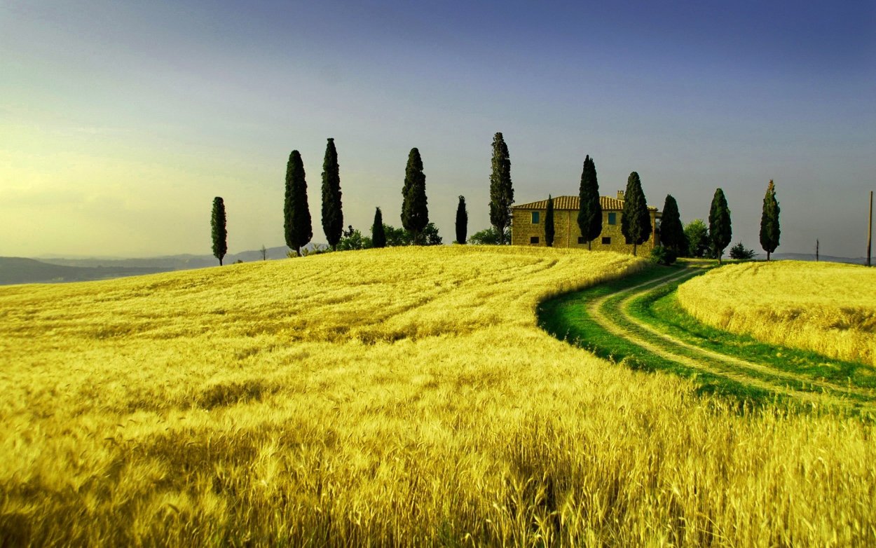 Тосканские травы