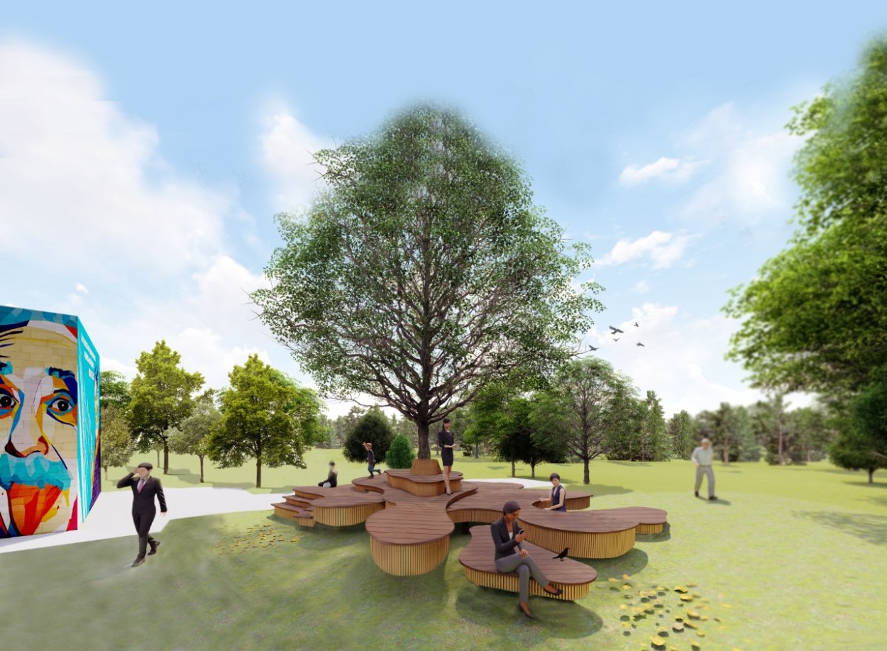 Вяз шершавый дерево