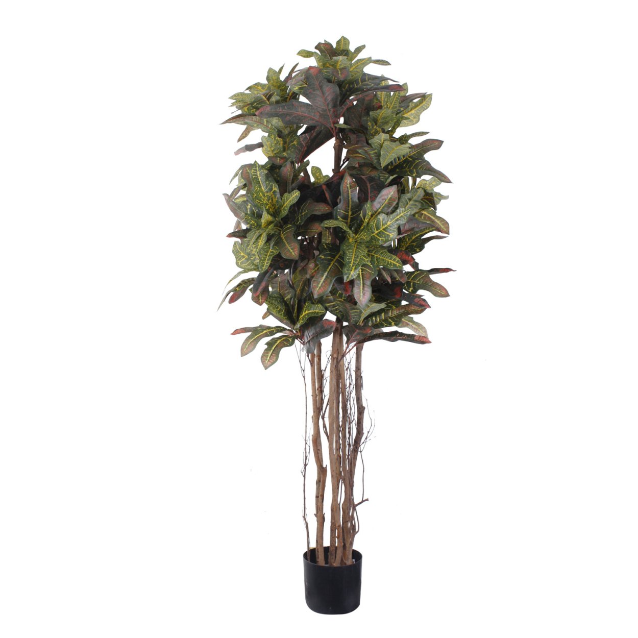 Кротон искусственный