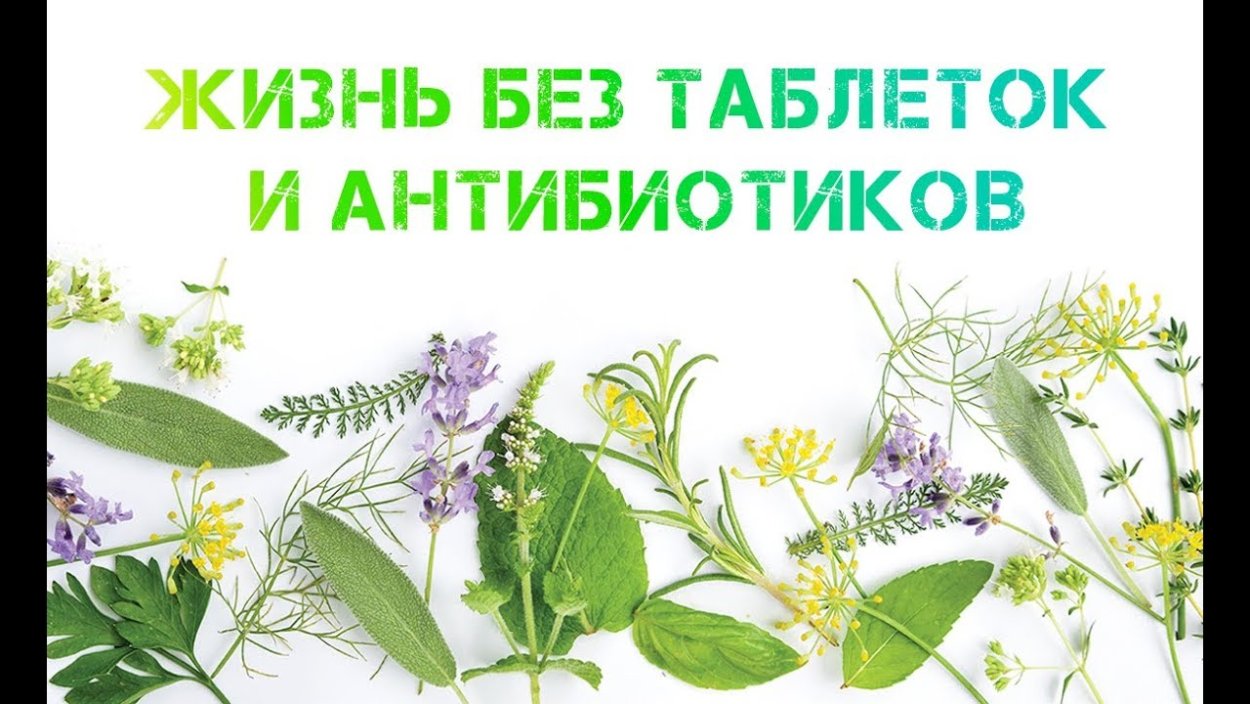 Бабушкин чай травяной сбор