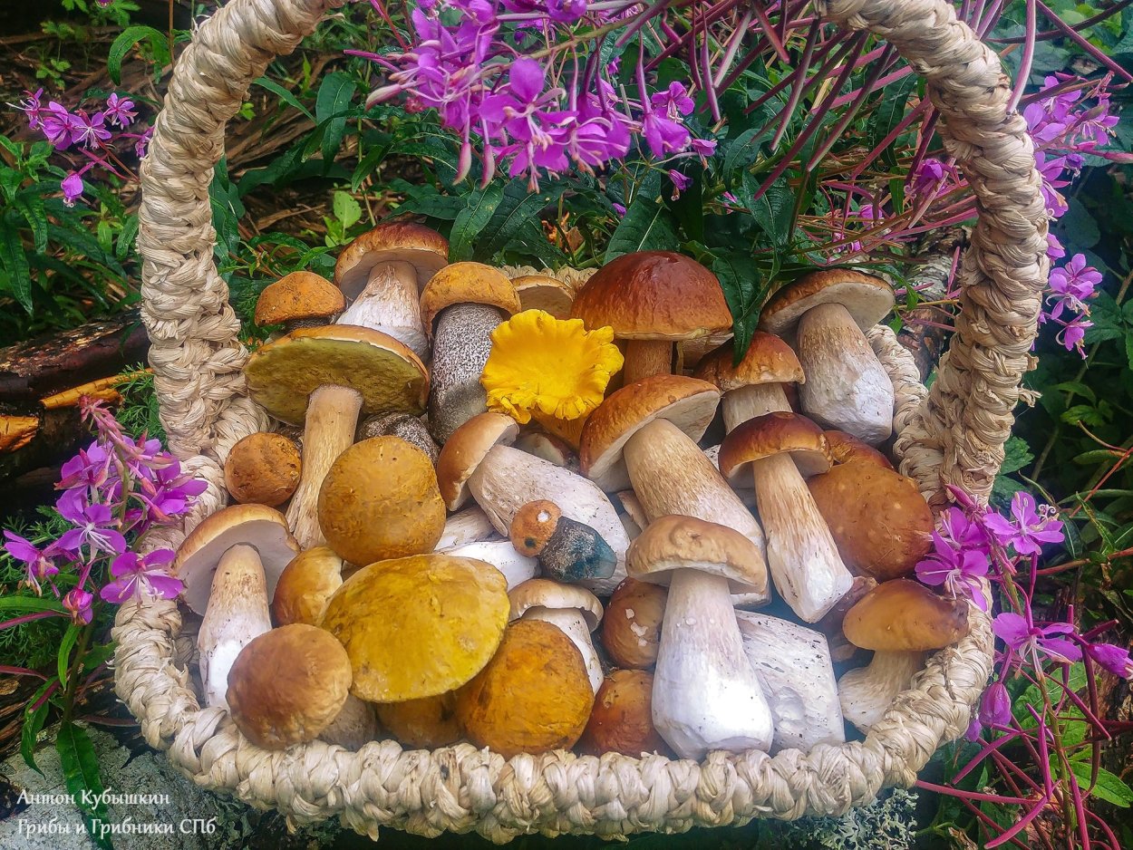 Корзина с грибами своими руками