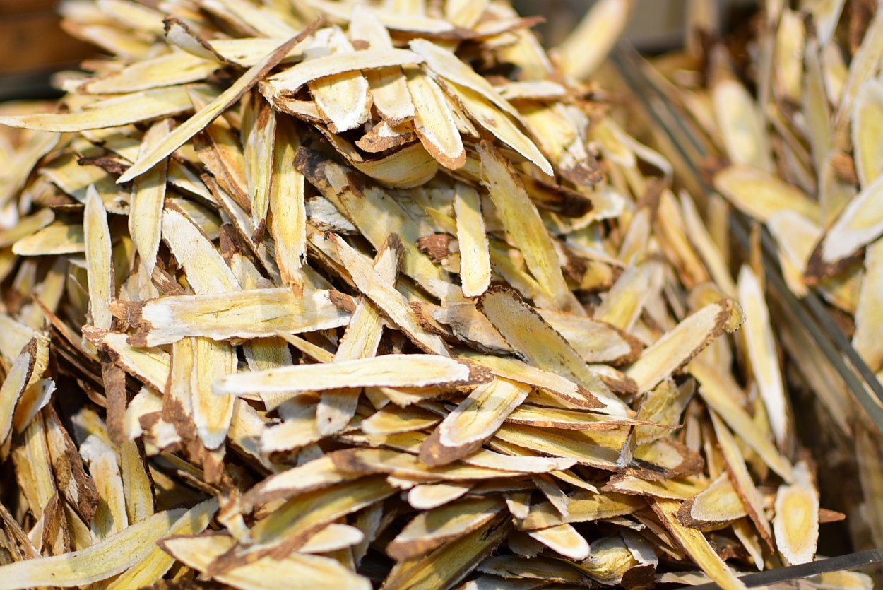 Солодка Уральская (Glycyrrhiza uralensis)