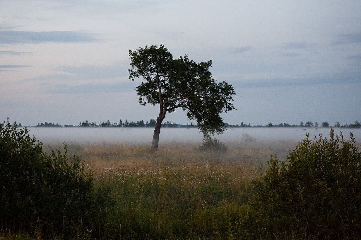 Озеро Ильмень