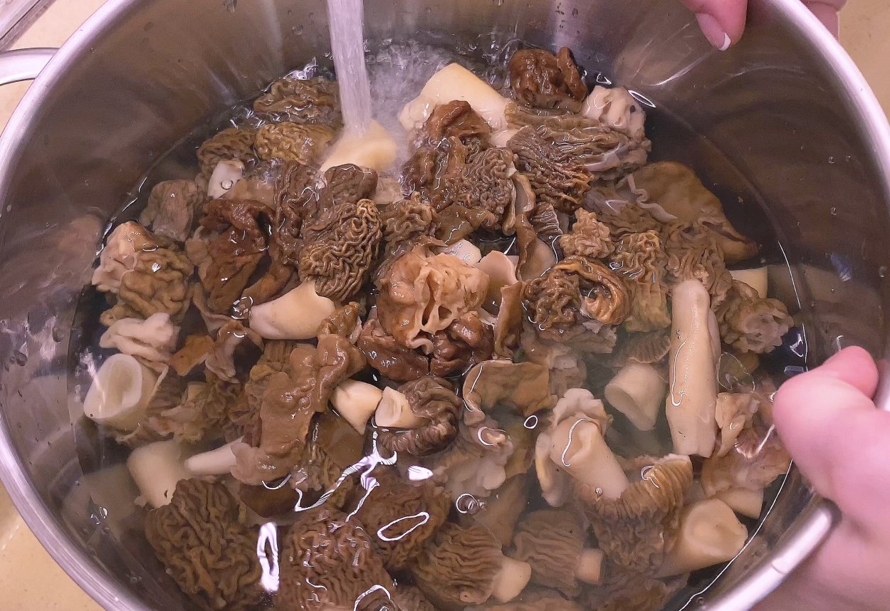 Корзинка со сморчками