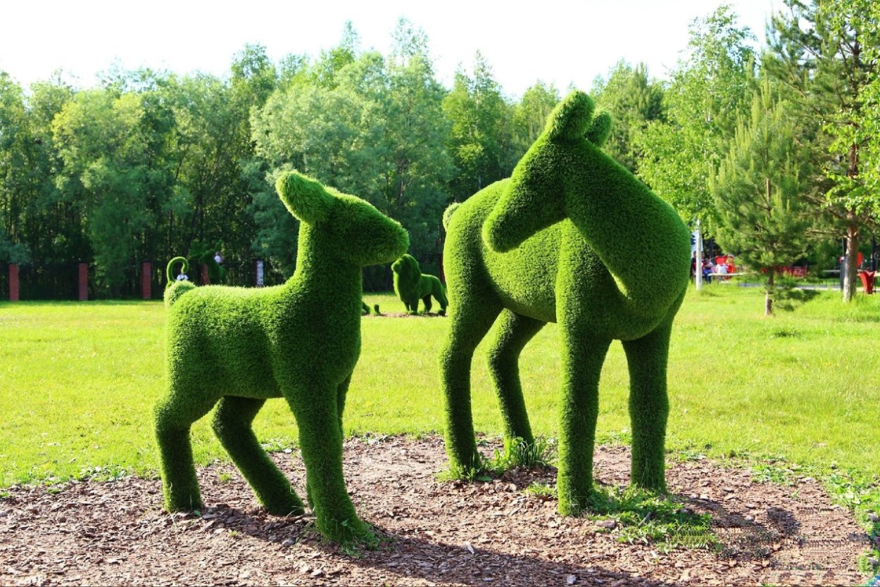 Топиарная корона Царицыно