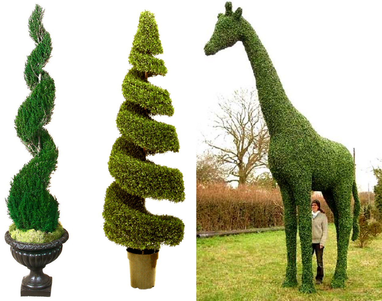 Монреаль,Канада,скульптура из зелени