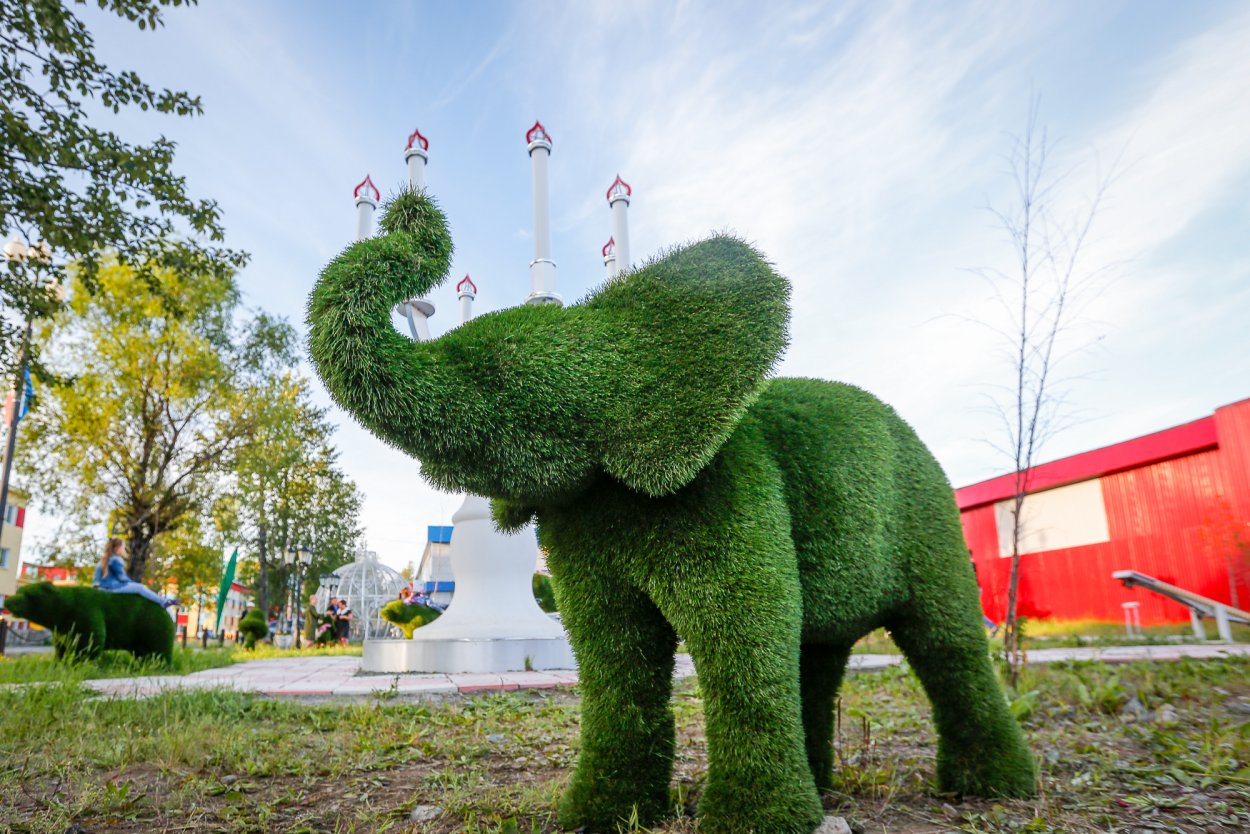 Ива ломкая топиарная фигура