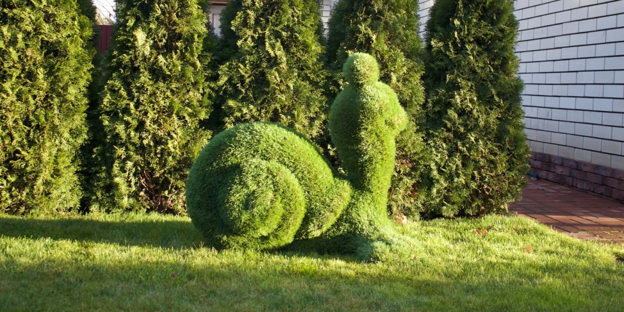 Топиари Кинг топиарные фигуры