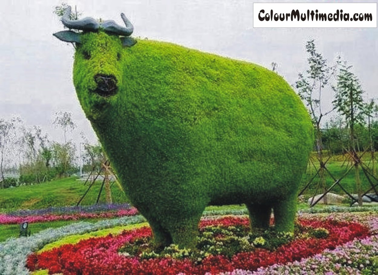 Топиари улитка Садовая