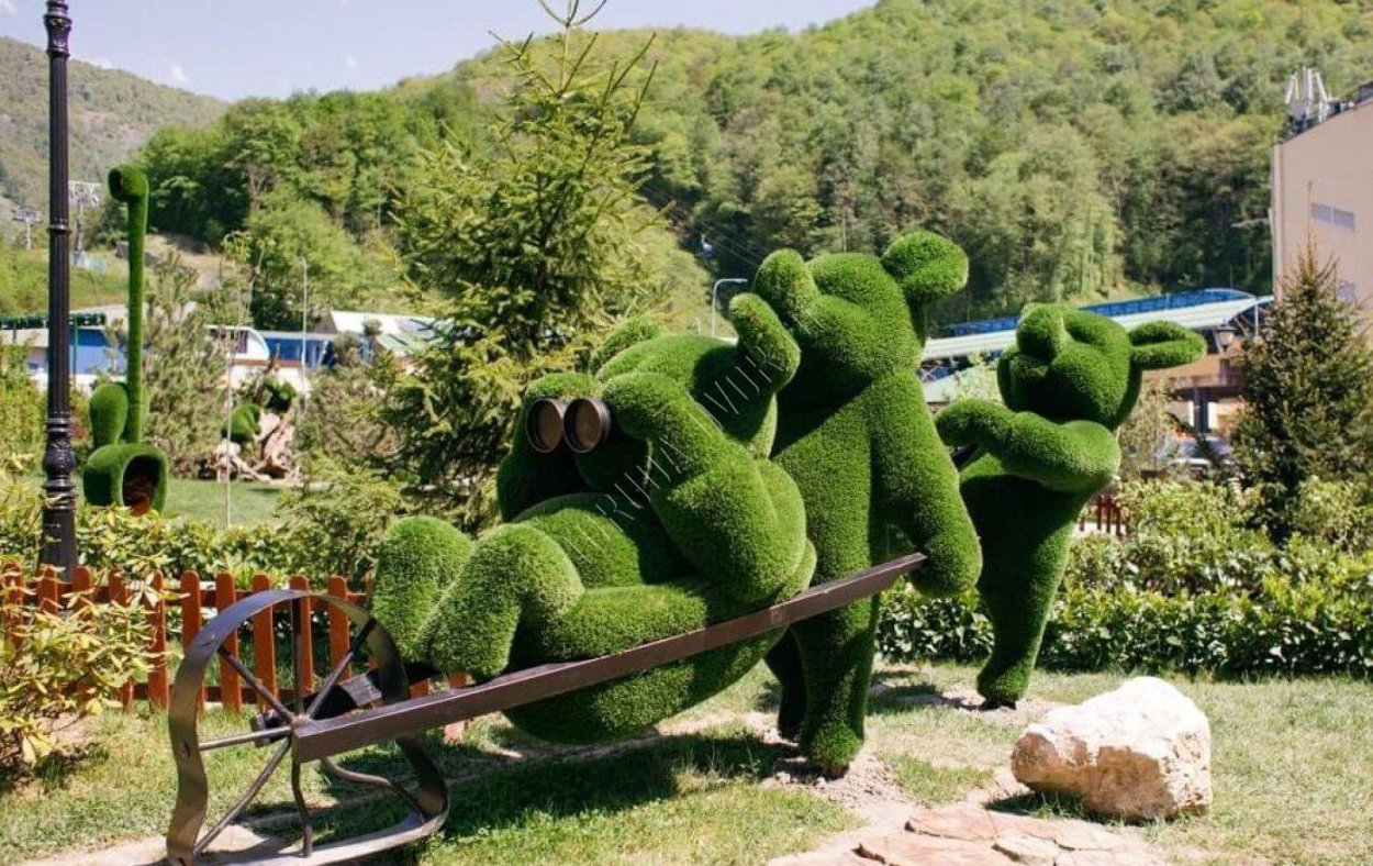 Топиари Бачо