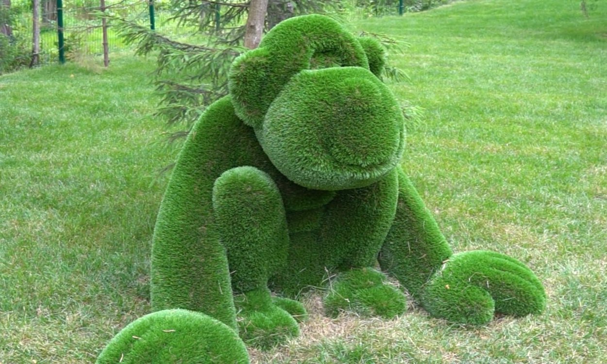 Топиари Бачо