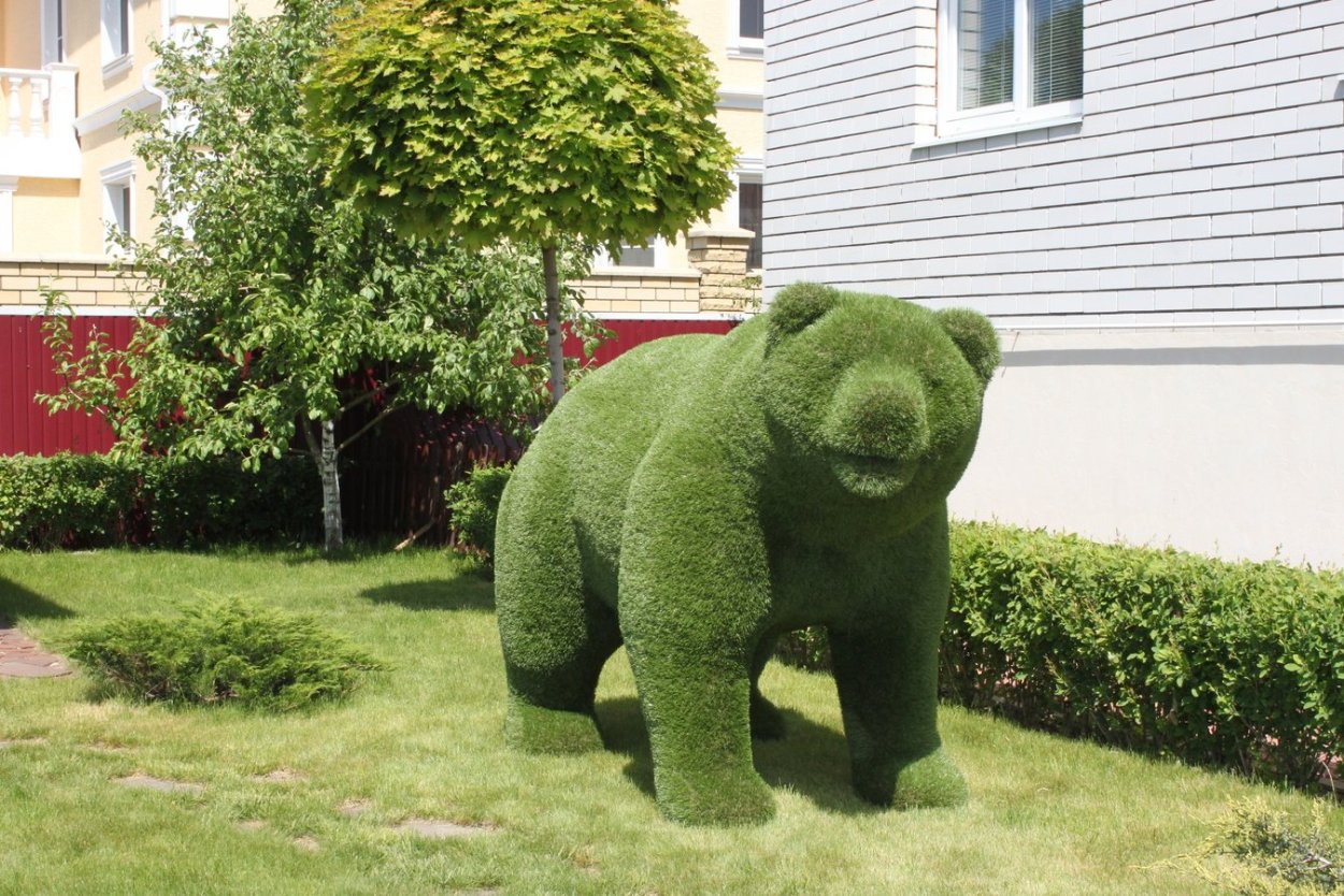 Топиарные кусты