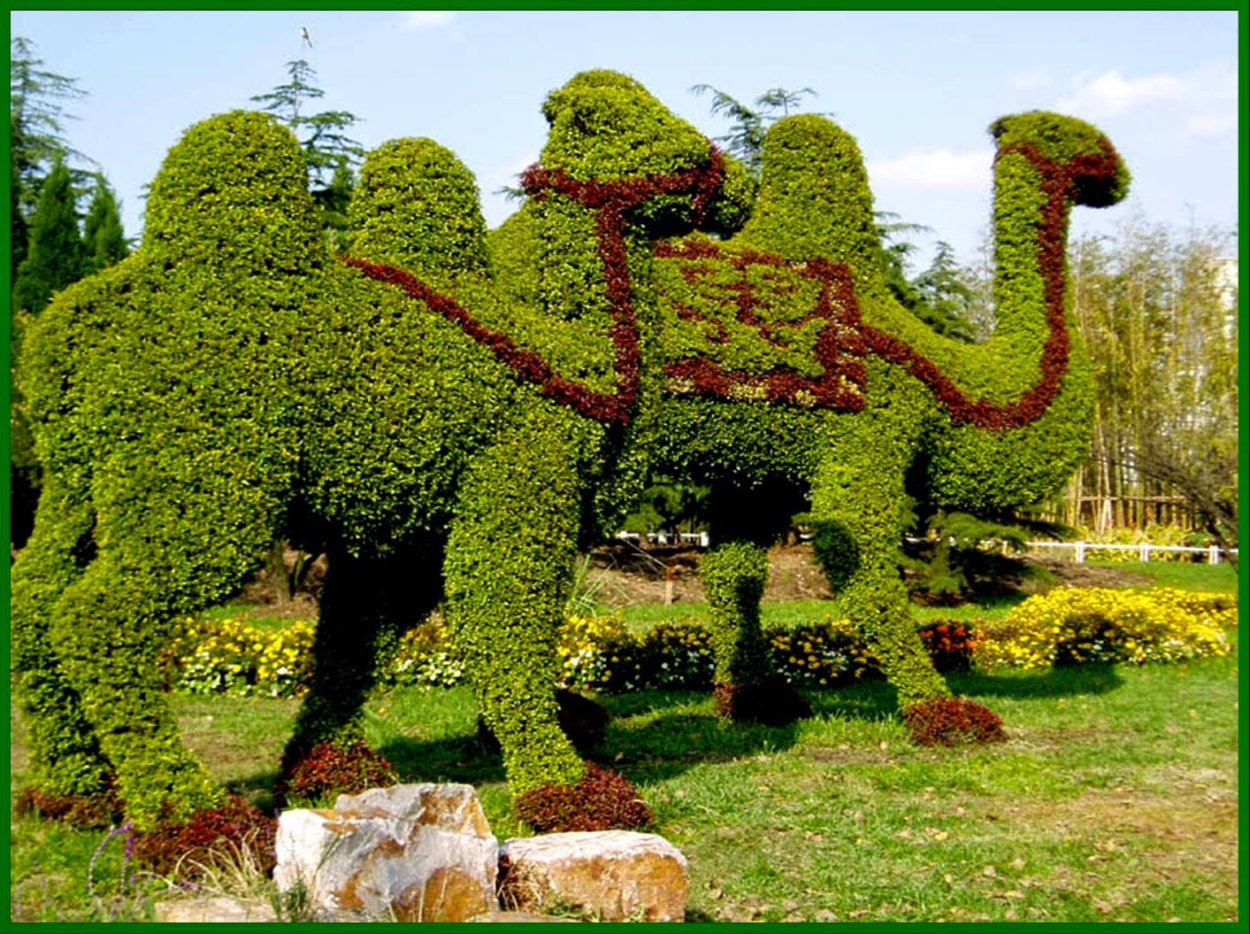 Дмитрий Доринский топиарное искусство