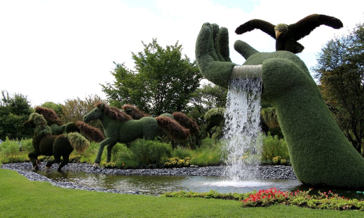 Вечнозеленые скульптуры Бачо