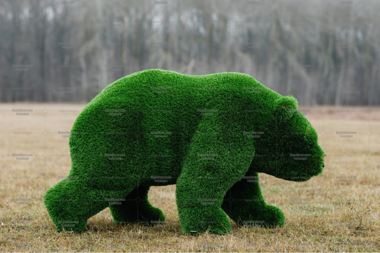 Медведь Рокки