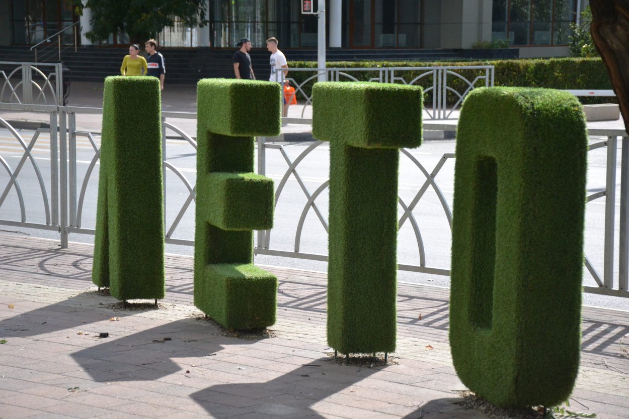 Буквы из газона