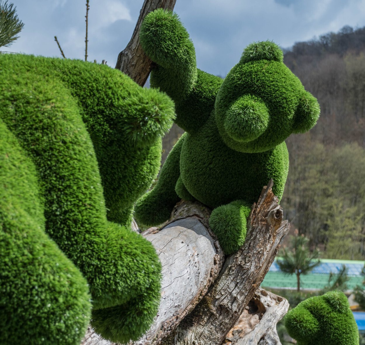 Топиари Лев стоячий