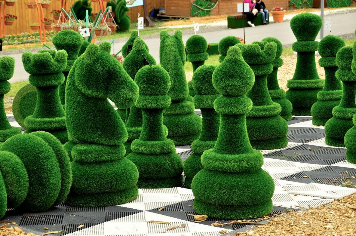 Топиарные фигуры Бачо