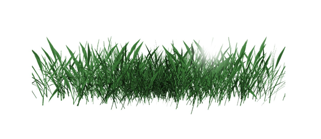 Фестука Аметистовая