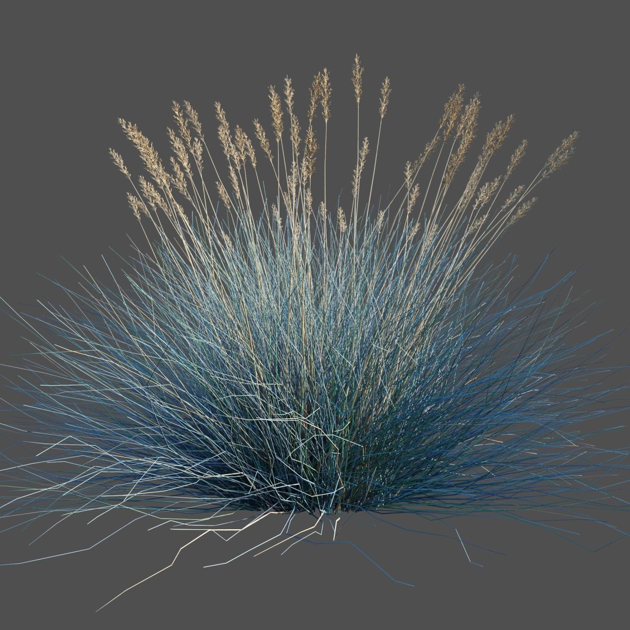 Схематичное изображение травы