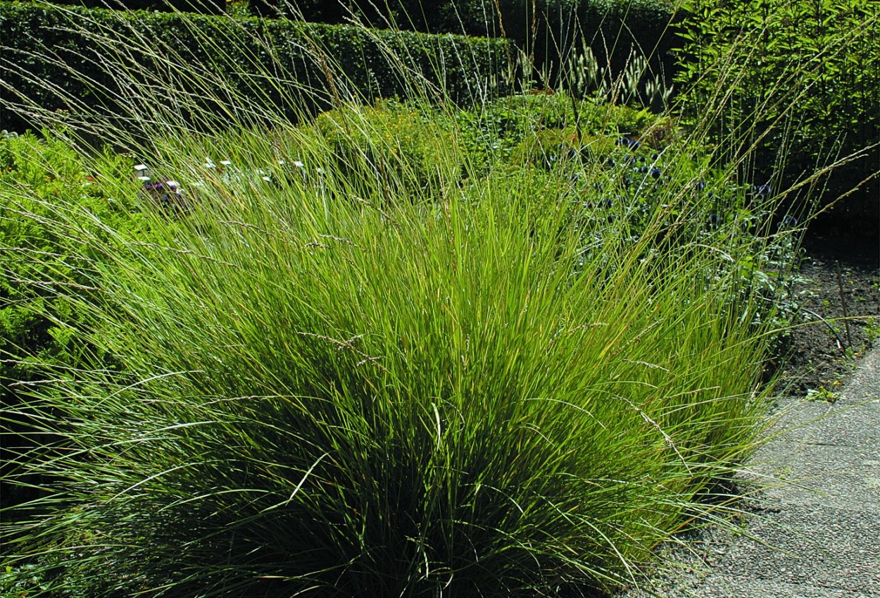 Кочки для детей